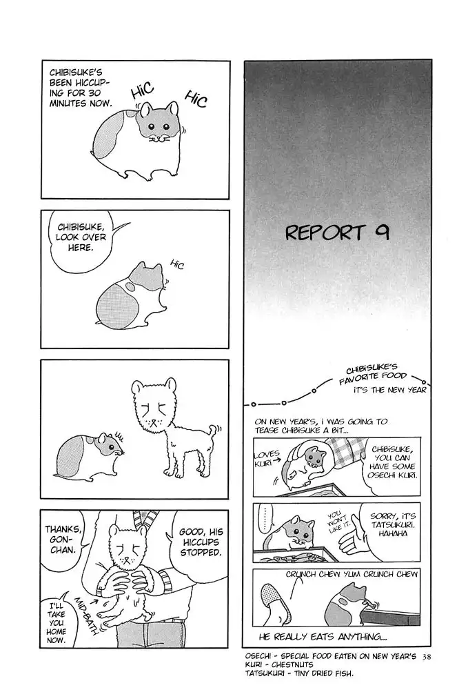 Hamster no Kenkyuu Report Chapter 4 7